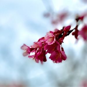 Meet your Posher, Pat